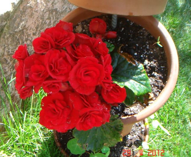 Name:  DSC00388.jpg
Views: 891
Size:  70.6 KB