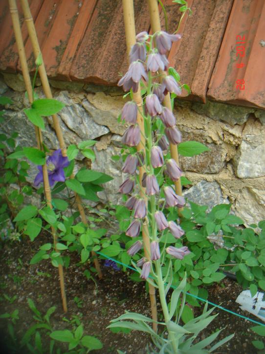 Name:  DSC00053.jpg
Views: 896
Size:  75.0 KB