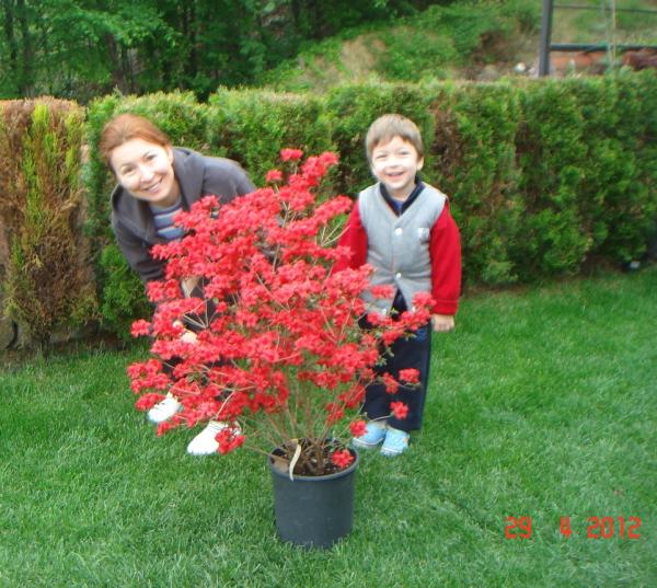 Name:  DSC00361.jpg
Views: 937
Size:  71.4 KB