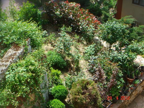 Name:  DSC00464.jpg
Views: 801
Size:  72.5 KB