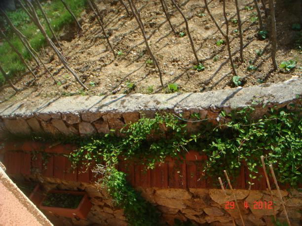 Name:  DSC00462.jpg
Views: 825
Size:  71.1 KB