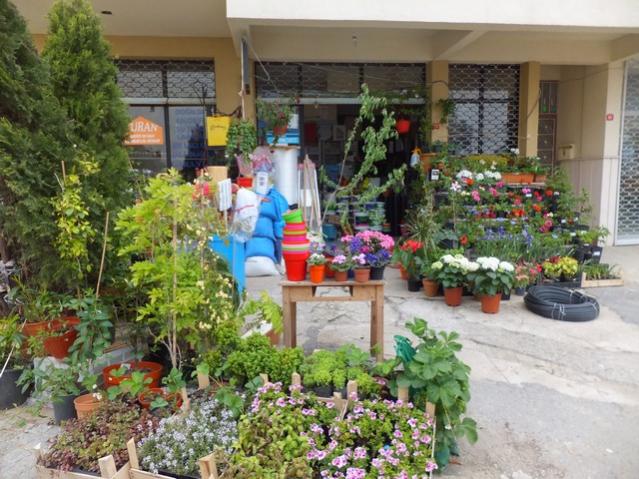 Name:  DSCF2181.jpg
Views: 562
Size:  67.0 KB