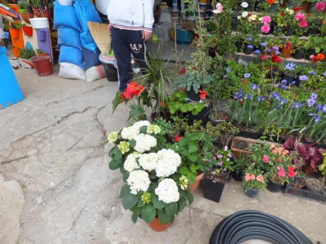 Name:  DSCF2183.jpg
Views: 490
Size:  64.1 KB