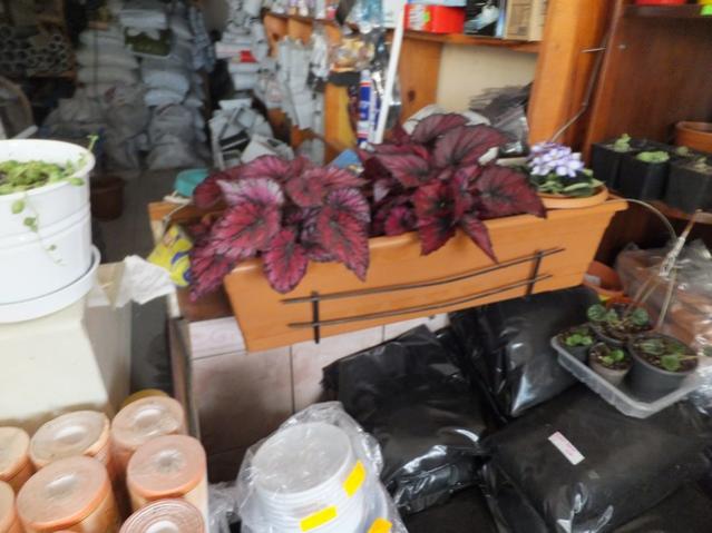 Name:  DSCF2198.jpg
Views: 482
Size:  44.4 KB