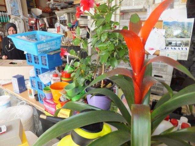 Name:  DSCF2199.jpg
Views: 534
Size:  55.1 KB