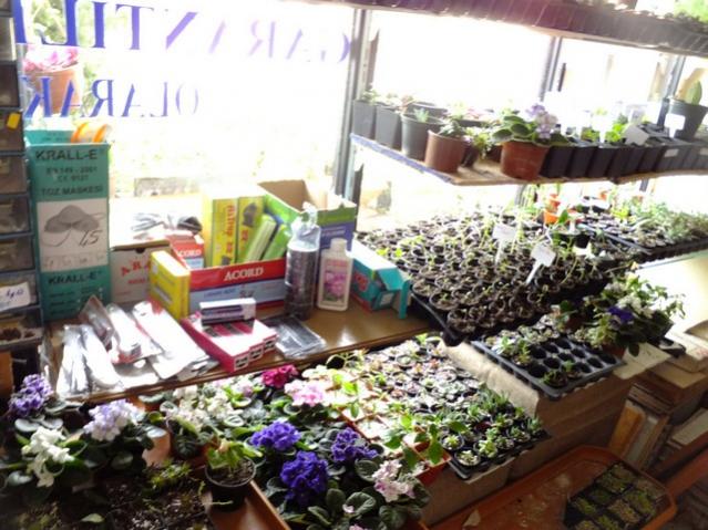 Name:  DSCF2201.jpg
Views: 455
Size:  61.1 KB