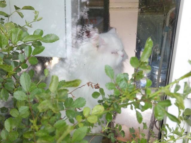Name:  DSCF2268.jpg
Views: 509
Size:  44.9 KB
