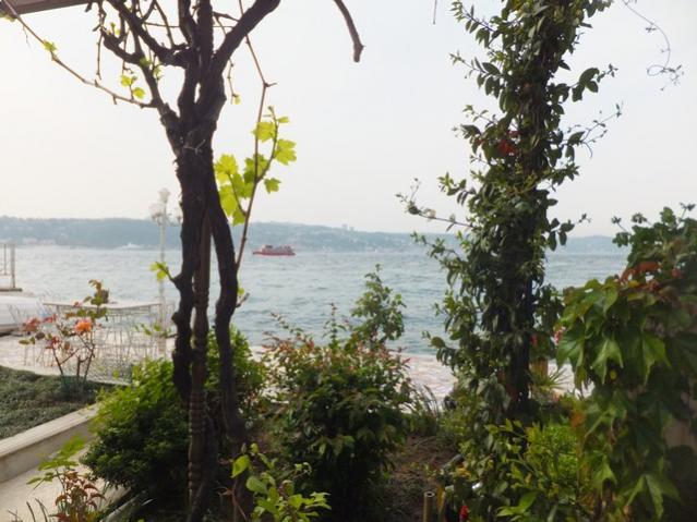 Name:  DSCF2290.jpg
Views: 514
Size:  53.4 KB