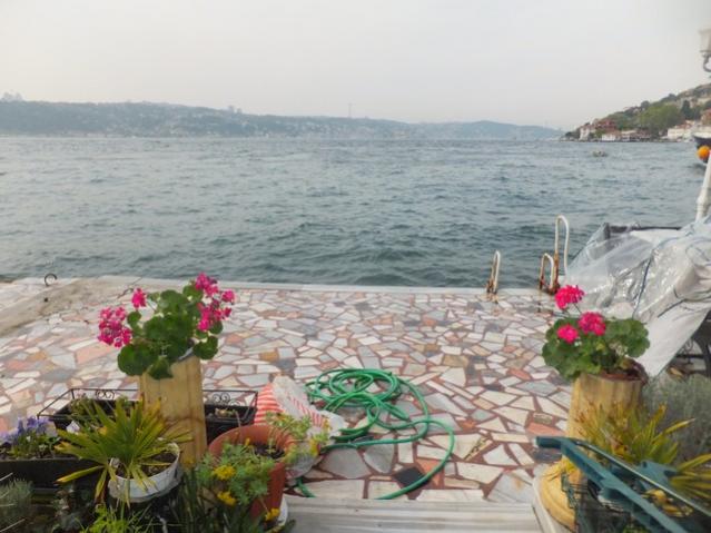 Name:  DSCF2292.jpg
Views: 516
Size:  47.5 KB