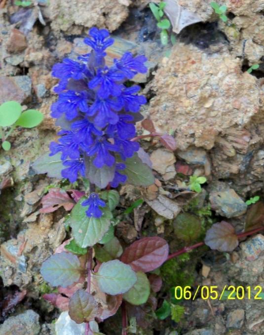 Name:  100_3382.jpg
Views: 888
Size:  67.9 KB