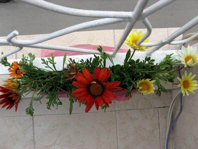 Name:  yeni2.jpg
Views: 1090
Size:  46.1 KB