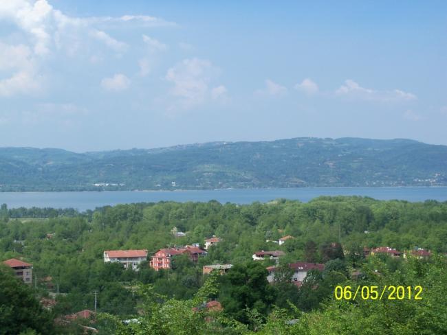 Name:  100_3597.jpg
Views: 908
Size:  38.7 KB
