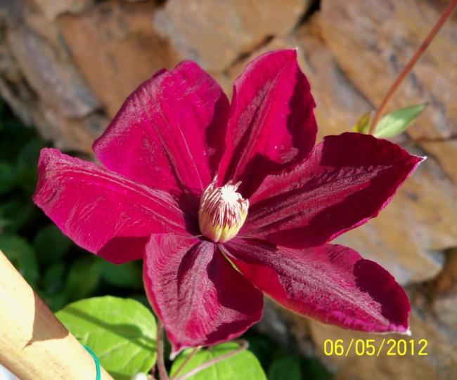 Name:  100_3673.jpg
Views: 879
Size:  45.6 KB