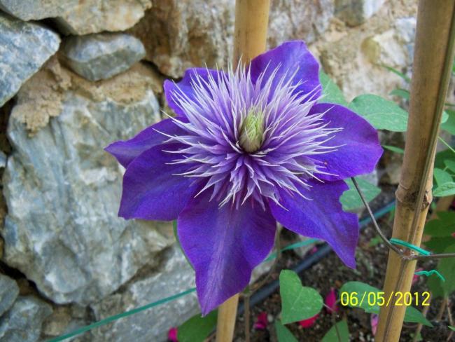 Name:  100_3122.jpg
Views: 879
Size:  56.0 KB