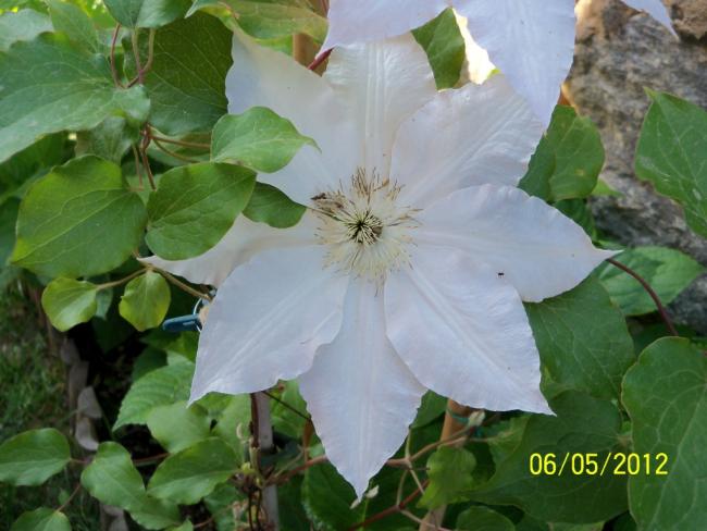 Name:  100_3324.jpg
Views: 830
Size:  43.7 KB