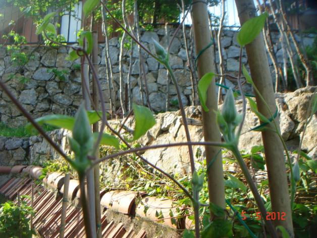 Name:  DSC00130.jpg
Views: 862
Size:  71.1 KB