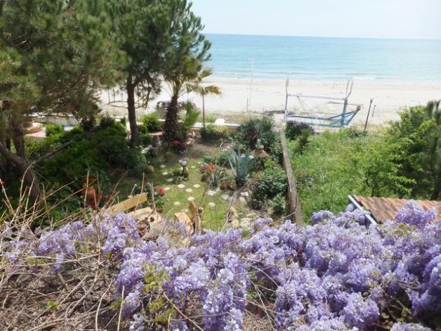 Name:  DSCF1913.jpg
Views: 667
Size:  71.2 KB