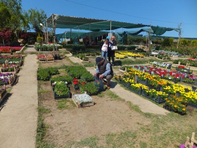 Name:  DSCF1936.jpg
Views: 714
Size:  62.0 KB