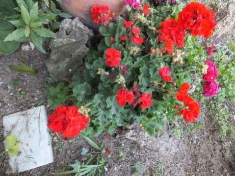 Name:  DSCF1977.jpg
Views: 632
Size:  43.1 KB