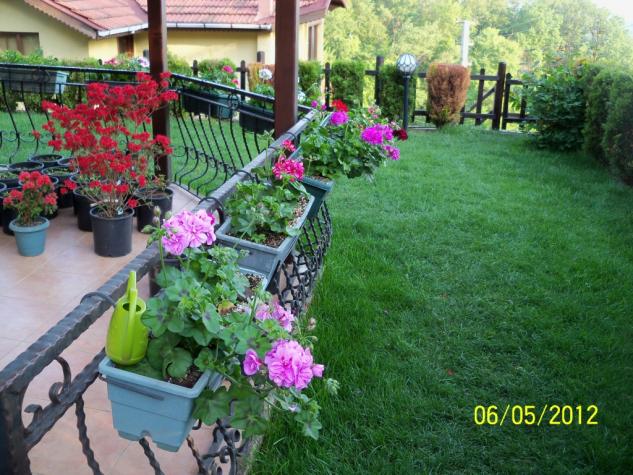 Name:  100_3167.jpg
Views: 737
Size:  70.8 KB