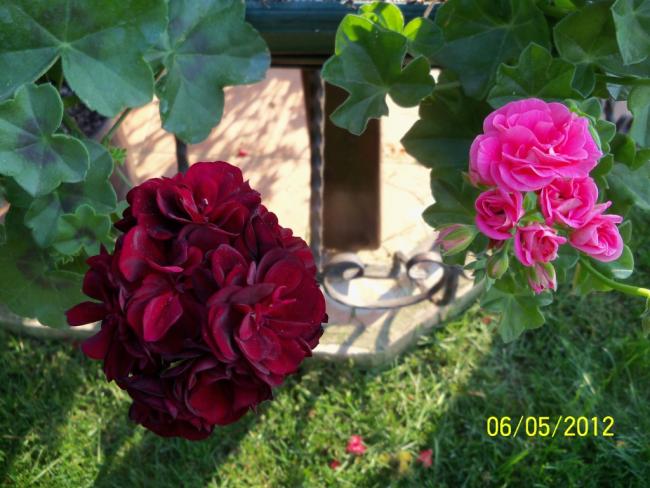 Name:  100_3624.jpg
Views: 679
Size:  53.5 KB