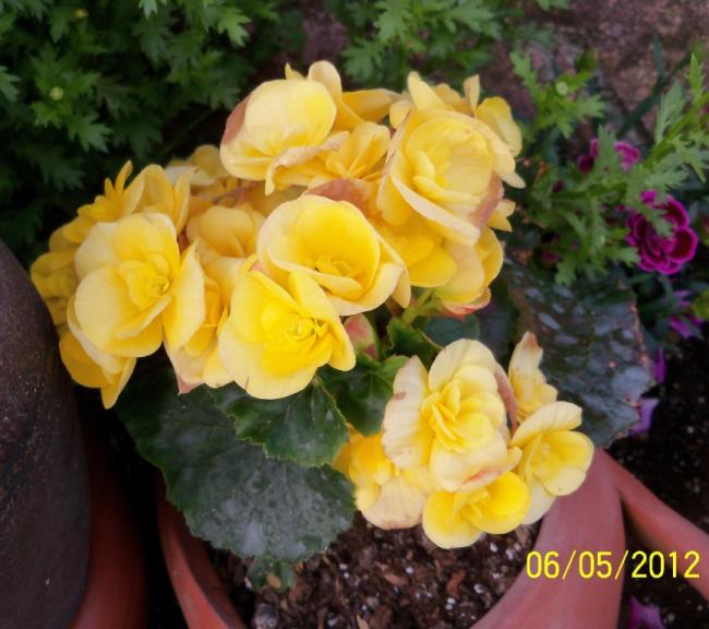 Name:  100_3241.jpg
Views: 695
Size:  51.1 KB