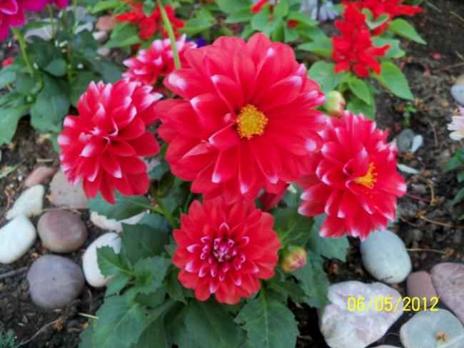 Name:  100_3275.jpg
Views: 706
Size:  51.8 KB