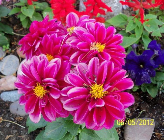 Name:  100_3279.jpg
Views: 706
Size:  68.0 KB