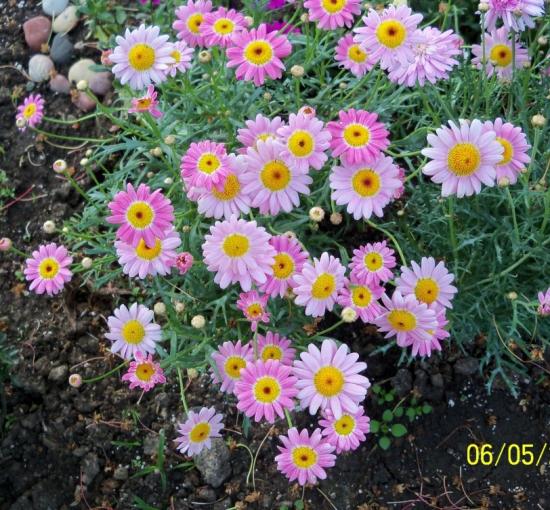 Name:  100_3286.jpg
Views: 657
Size:  74.6 KB