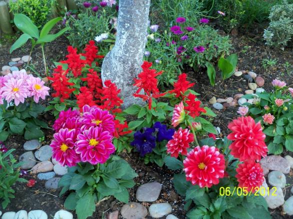 Name:  100_3281.jpg
Views: 687
Size:  72.4 KB