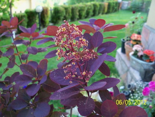 Name:  100_3258.jpg
Views: 747
Size:  51.0 KB