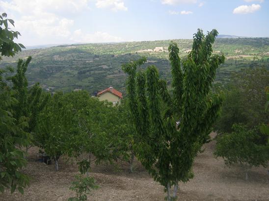 Name:  bahe.JPG
Views: 1088
Size:  54.1 KB
