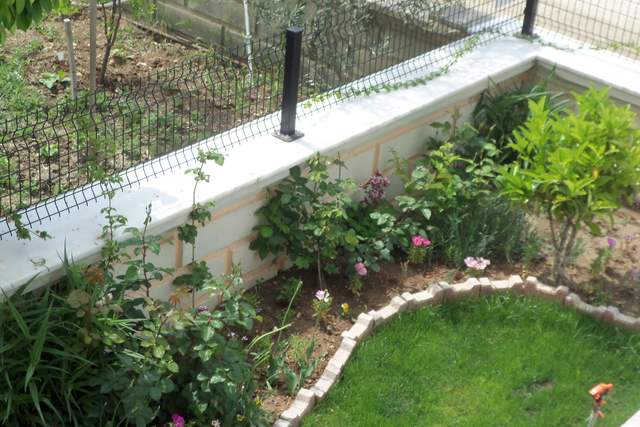 Name:  100_2385.JPG
Views: 735
Size:  63.5 KB