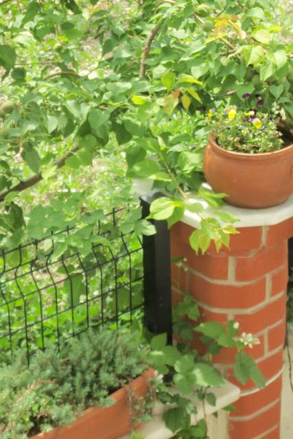 Name:  100_2390.JPG
Views: 739
Size:  57.8 KB