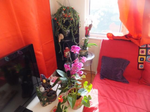 Name:  DSCF2092.jpg
Views: 625
Size:  38.0 KB