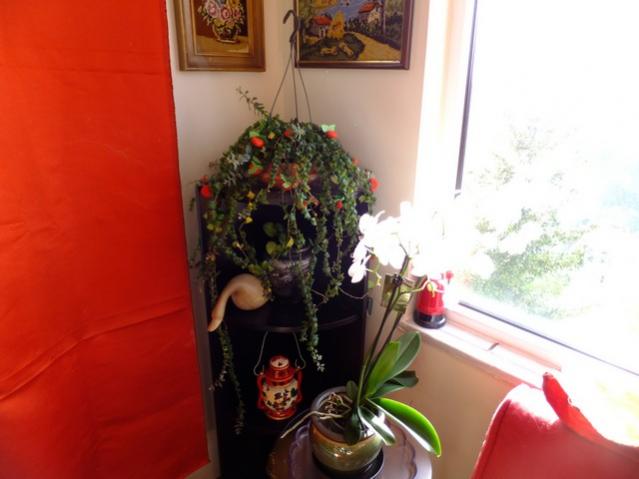 Name:  DSCF2093.jpg
Views: 655
Size:  32.4 KB