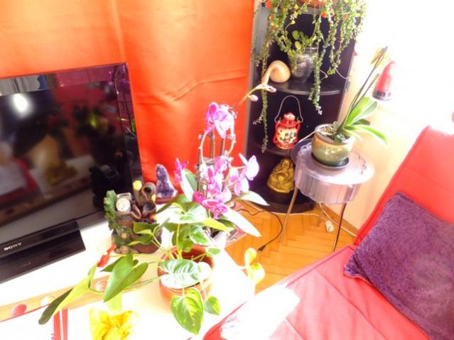 Name:  DSCF2094.jpg
Views: 619
Size:  45.6 KB
