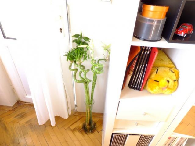 Name:  DSCF2096.jpg
Views: 592
Size:  33.1 KB
