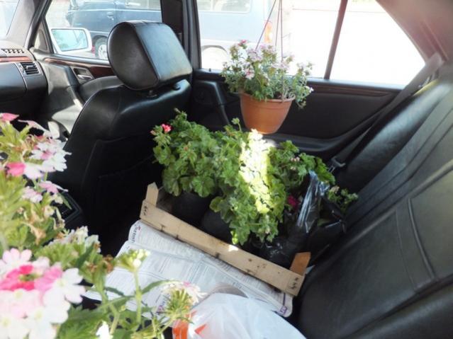 Name:  DSCF2084.jpg
Views: 744
Size:  45.4 KB