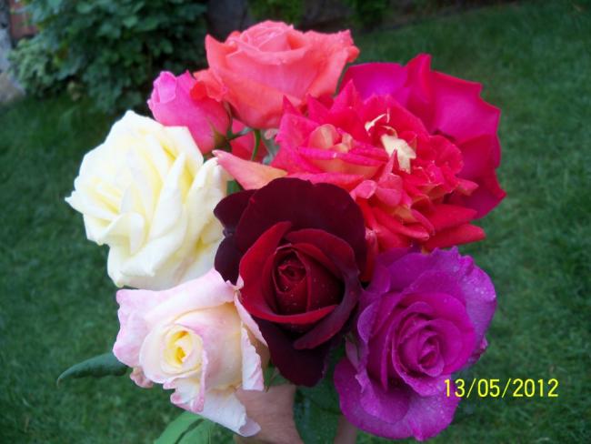 Name:  100_4007.jpg
Views: 625
Size:  40.5 KB
