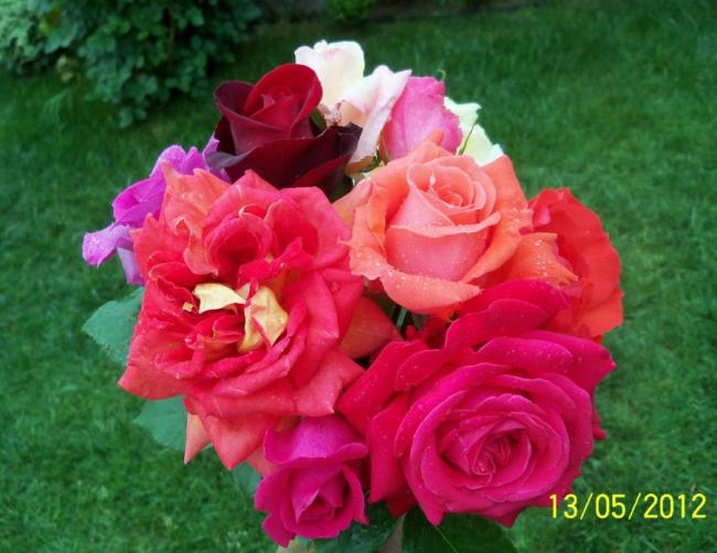 Name:  100_4003.jpg
Views: 617
Size:  47.6 KB
