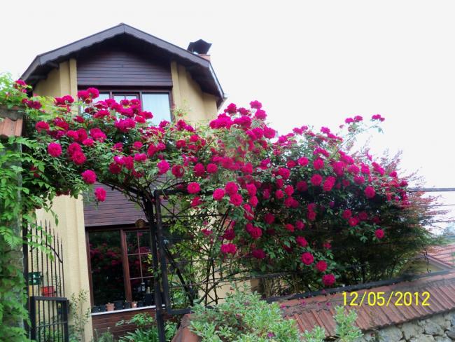 Name:  100_3890.jpg
Views: 616
Size:  66.3 KB