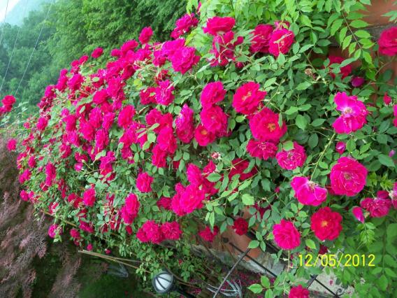 Name:  100_3893.jpg
Views: 614
Size:  73.0 KB