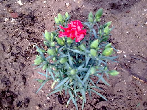 Name:  Grnt0657.jpg
Views: 1134
Size:  61.9 KB
