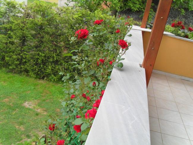 Name:  256-002.jpg
Views: 1008
Size:  61.8 KB
