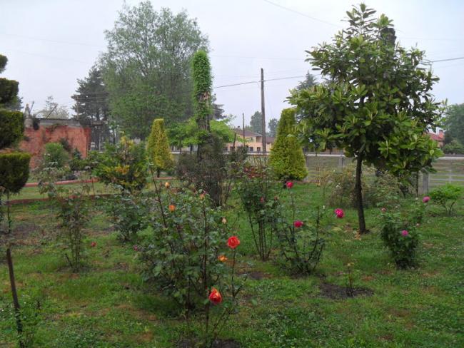 Name:  005-001.jpg
Views: 939
Size:  63.8 KB