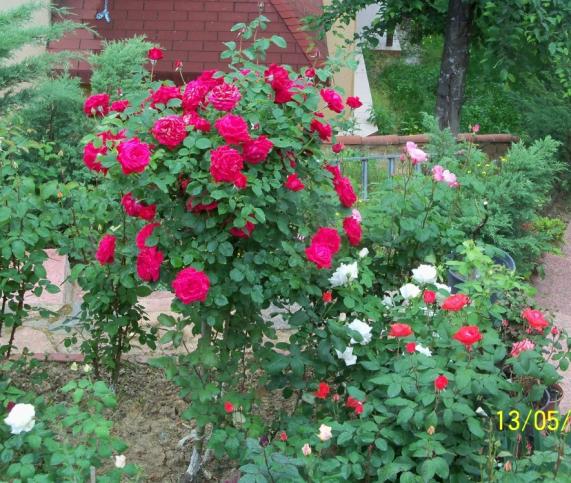 Name:  100_4066.jpg
Views: 596
Size:  72.7 KB