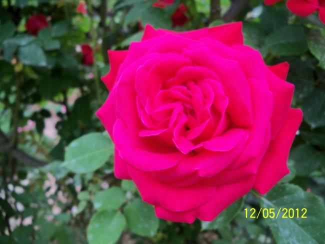 Name:  100_3755.jpg
Views: 569
Size:  33.2 KB