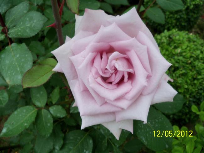 Name:  100_3763.jpg
Views: 574
Size:  36.9 KB