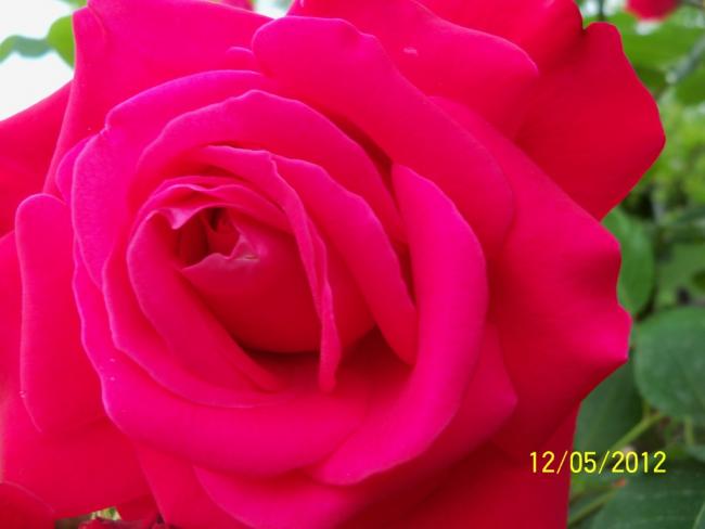 Name:  100_3781.jpg
Views: 544
Size:  25.2 KB